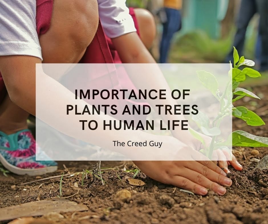 importance of plants and trees to human life