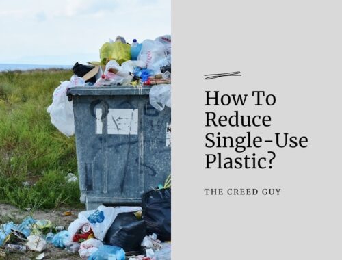 how-to-reduce-single-use-plastic.jpeg