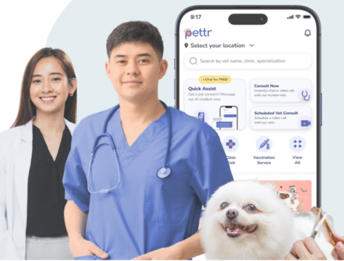 pettr